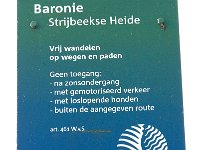 NL, Noord-Brabant, Alphen-Chaam, Goudberg 2, Saxifraga-Jan van der Straaten